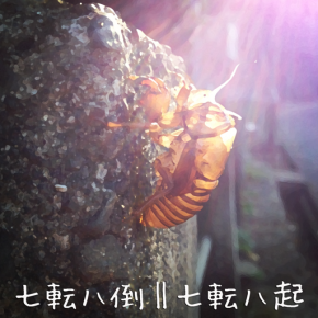 七転八倒 || 七転八起 七転八倒 || 七転八起