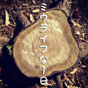 ミウライフな1日 ミウライフな1日
