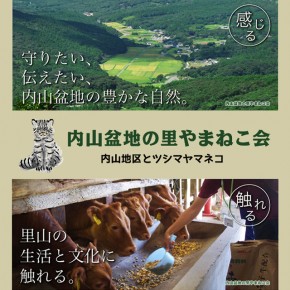 長崎県対馬を取材し、『内山盆地の里やまねこ会』のウェブサイトを制作しました。 長崎県対馬を取材し、『内山盆地の里やまねこ会』のウェブサイトを制作しました。