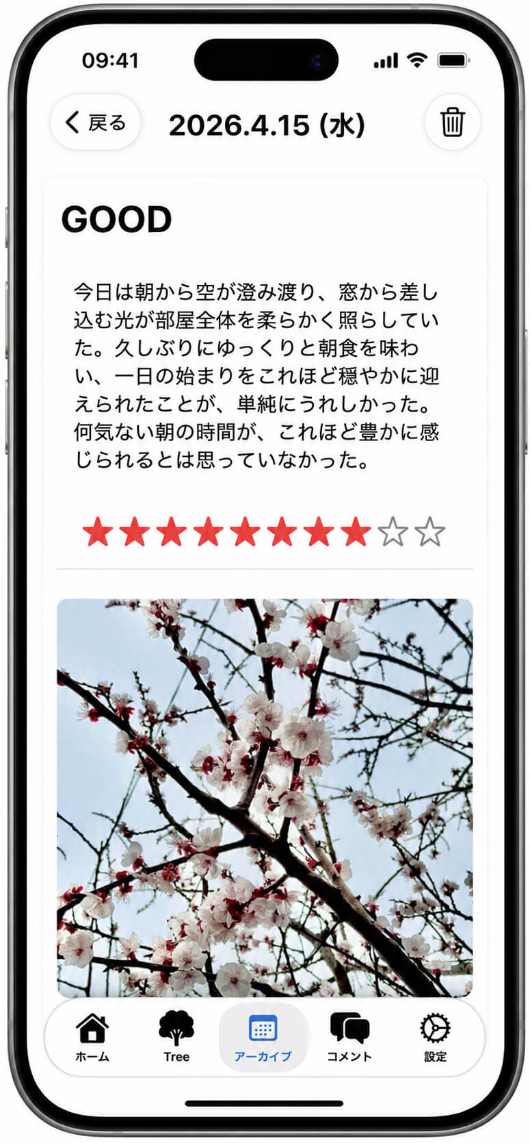 Record Screen