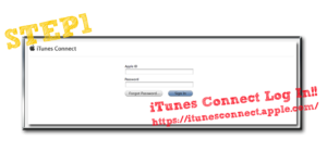 HowToShinseiBlogImage1